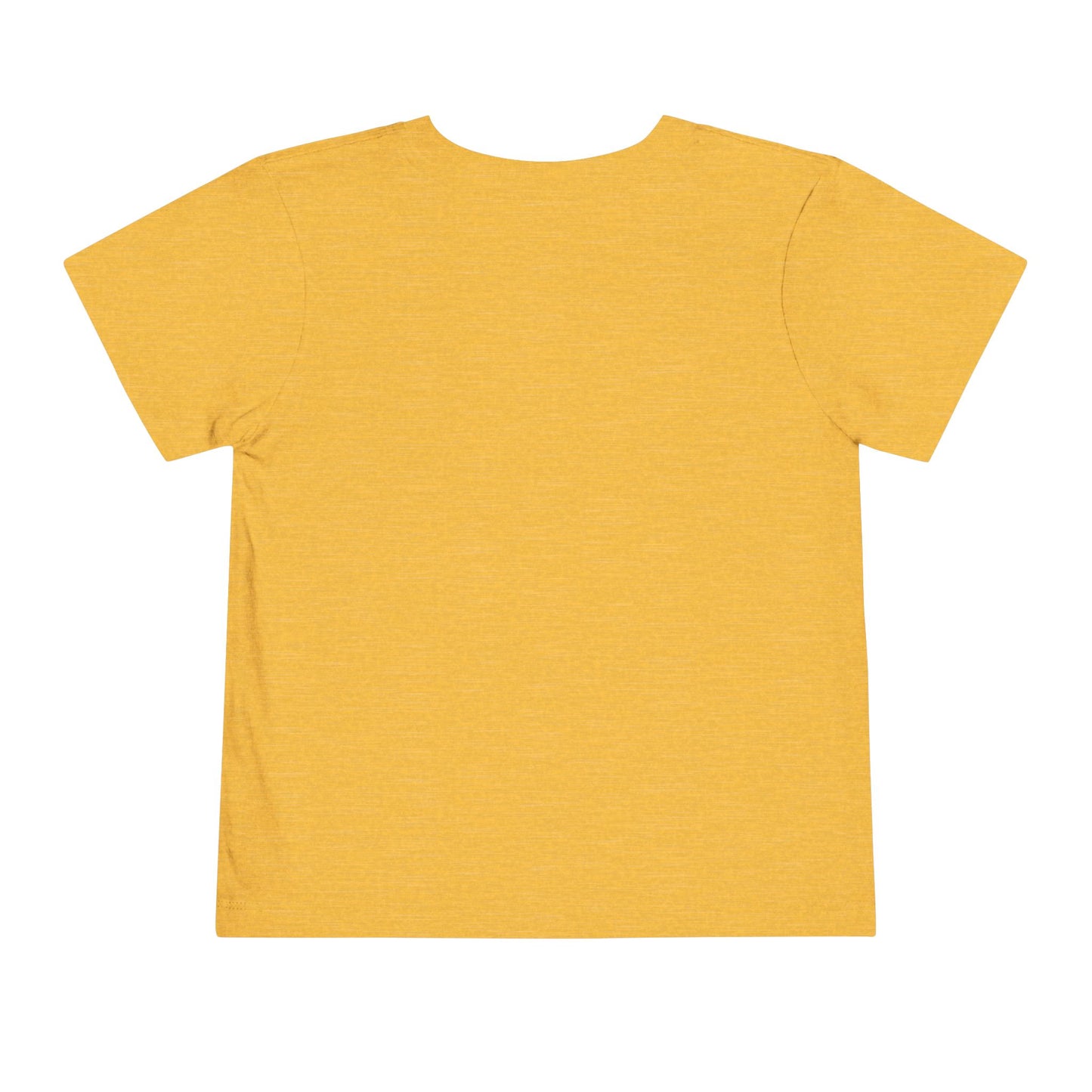 Desert Party Toddler Tee